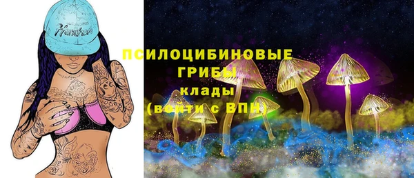 мяу мяу мука Баксан