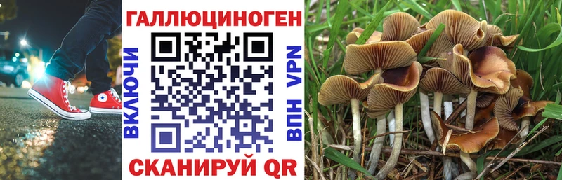Галлюциногенные грибы мицелий  Воткинск 